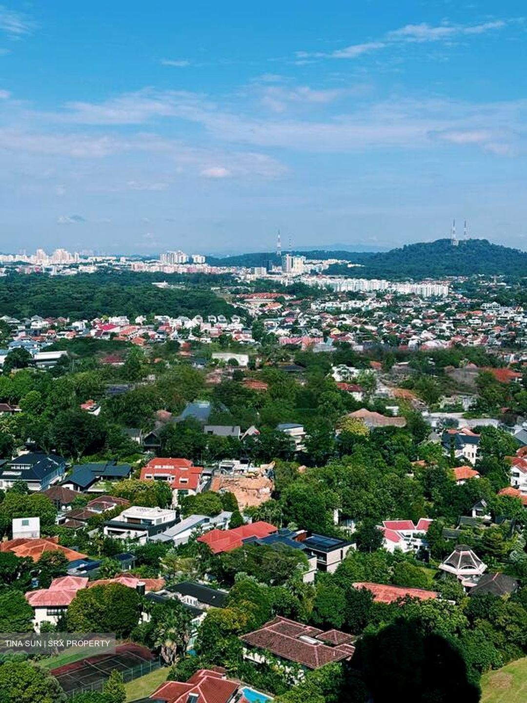 D'Leedon (D10), Condominium #593119591